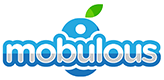 Mobulous Technologies Private Limited
