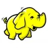 Service Icon