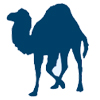 Service Icon